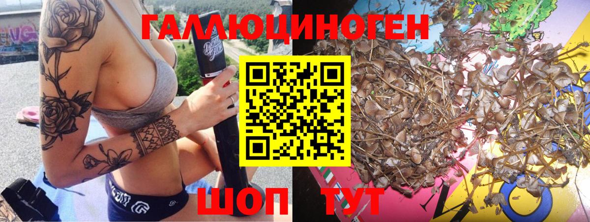 Псилоцибиновые грибы Magic Shrooms  Вход с VPN  Ижевск 